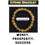 71zVOj5T3dL._AC_UY1100_