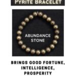 7119wymc9XL._AC_UY1100_