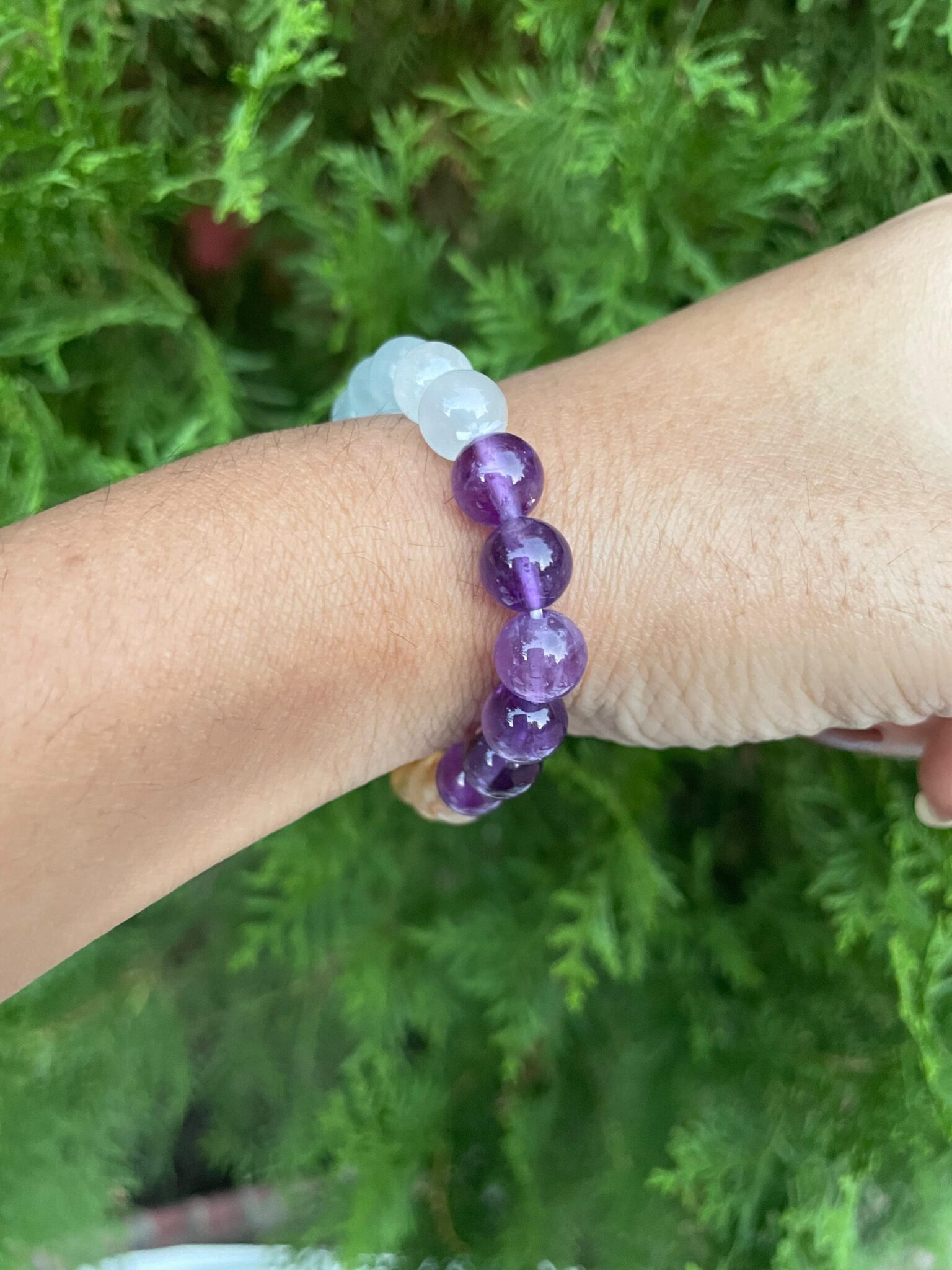 IMG-20240926-WA0050-1536×2048