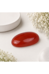 ChatGPT_Image_Aug_11_2026_10_27_16_PM.png