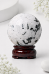 ChatGPT_Image_Aug_18_2026_09_02_01_PM.png