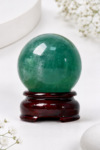ChatGPT_Image_Aug_18_2026_09_01_51_PM.png