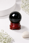 ChatGPT_Image_Aug_18_2026_09_12_26_PM.png