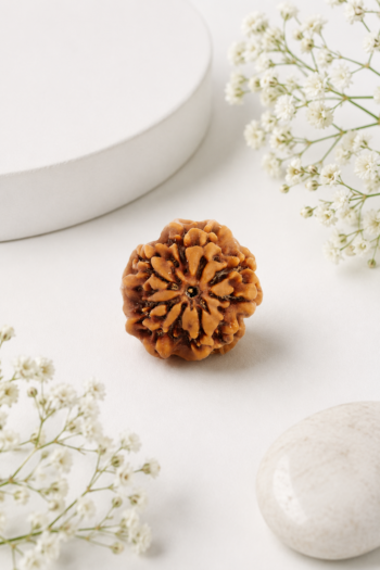 Kashi Siddh Nepal Origin Nirakar (0 Mukhi) Rudraksha (Meditation, Spiritual Awakening, Inner Peace) - 17mm to 22mm