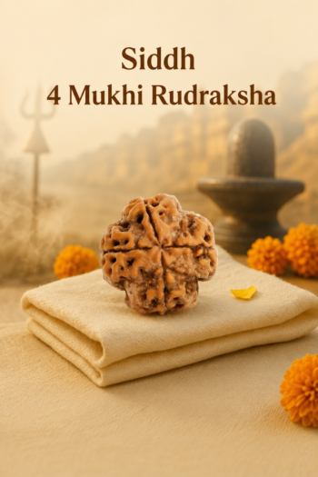 Kashi Siddh Nepal Origin 4 Mukhi Rudraksha (Knowledge, Creativity, Communication) - 17mm to 22mm