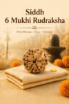 Kashi Siddh Nepal Origin 6 Mukhi Rudraksha (Love, Harmony, Willpower) - 17mm to 22mm