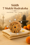 Kashi Siddh Nepal Origin 7 Mukhi Rudraksha (Wealth, Prosperity, Good Fortune) - 17mm to 22mm