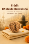 Kashi Siddh Nepal Origin 10 Mukhi Rudraksha (Protection, Negativity Removal, Peace) - 17mm to 22mm
