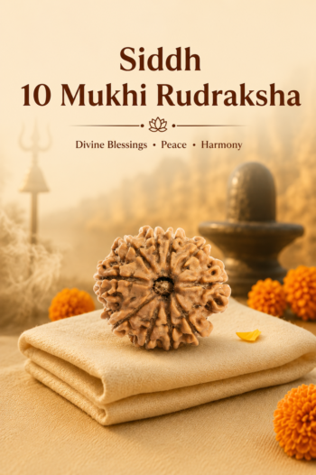 Kashi Siddh Nepal Origin 10 Mukhi Rudraksha (Protection, Negativity Removal, Peace) - 17mm to 22mm