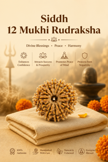 Kashi Siddh Nepal Origin 12 Mukhi Rudraksha (Leadership, Confidence, Radiance) - 17mm to 22mm
