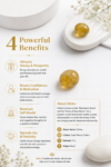 ChatGPT_Image_Aug_19_2026_10_17_53_PM.png