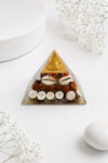 Laxmi Pyramid – Shree Yantra & Gomti Chakra for Wealth