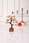 ChatGPT_Image_Aug_4_2026_03_52_54_PM.png